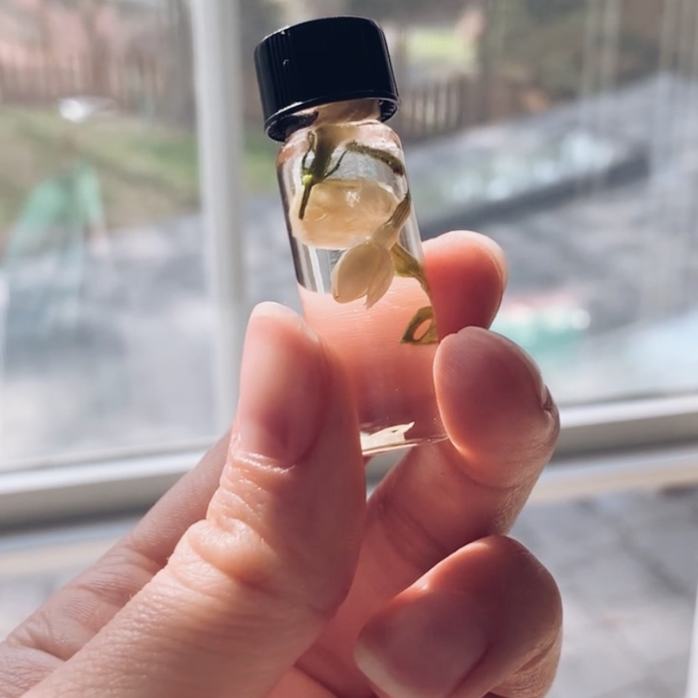 PICK ME UP Oil (Regular Top, 1 dram) manifestation oil, good vibes oil
